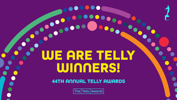 Visual Angle Media wins the 44th Annual Telly Awards