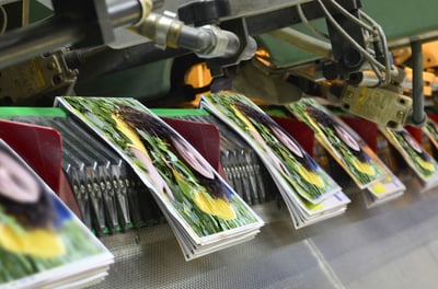 Revolutionizing Printing Industry Marketing with Video